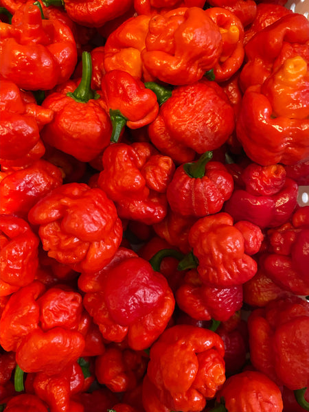 Trinidadian Scorpion Peppers - vegan, gluten free